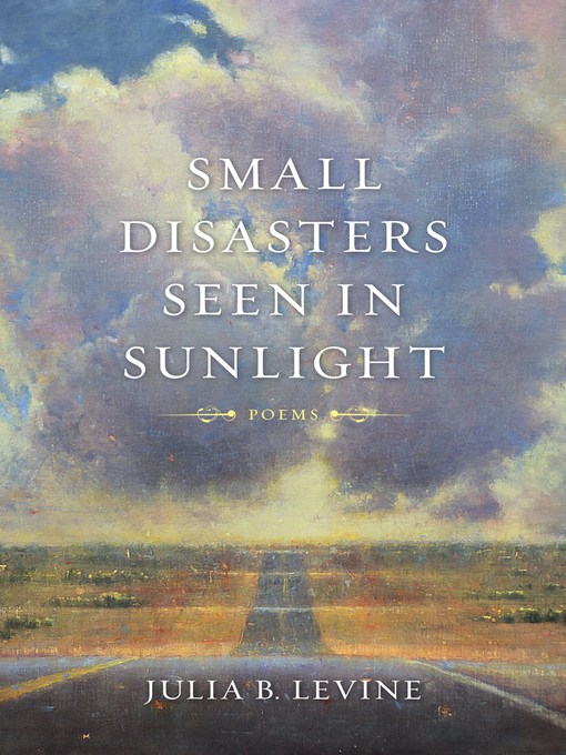 Title details for Small Disasters Seen in Sunlight by Julia B. Levine - Available